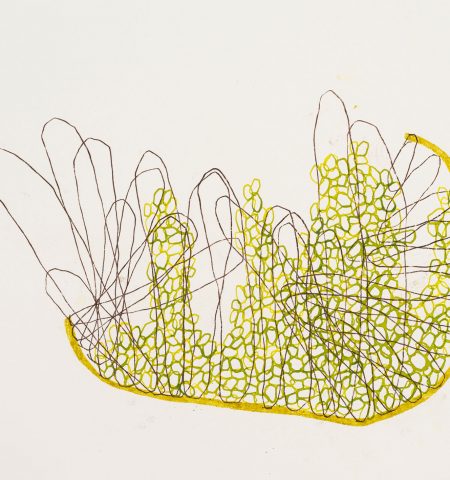 blick in die mikrokosmotik