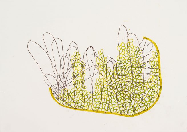 blick in die mikrokosmotik