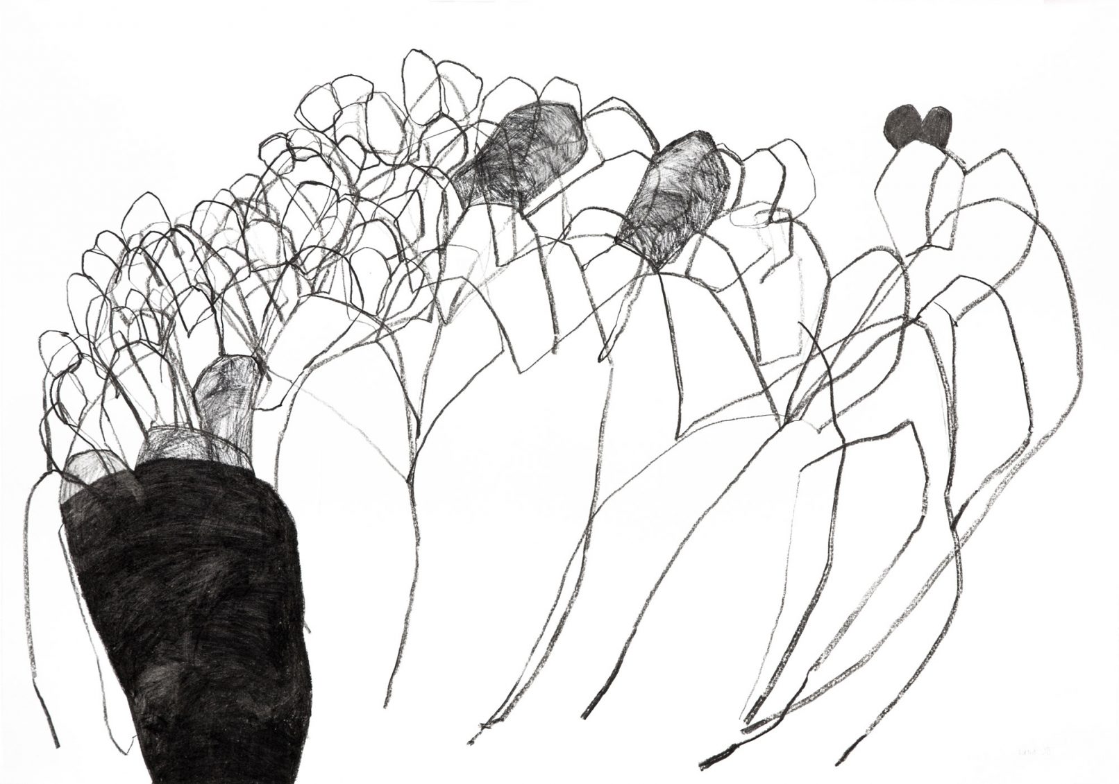 beinwell n°1 (unkraut deluxe)