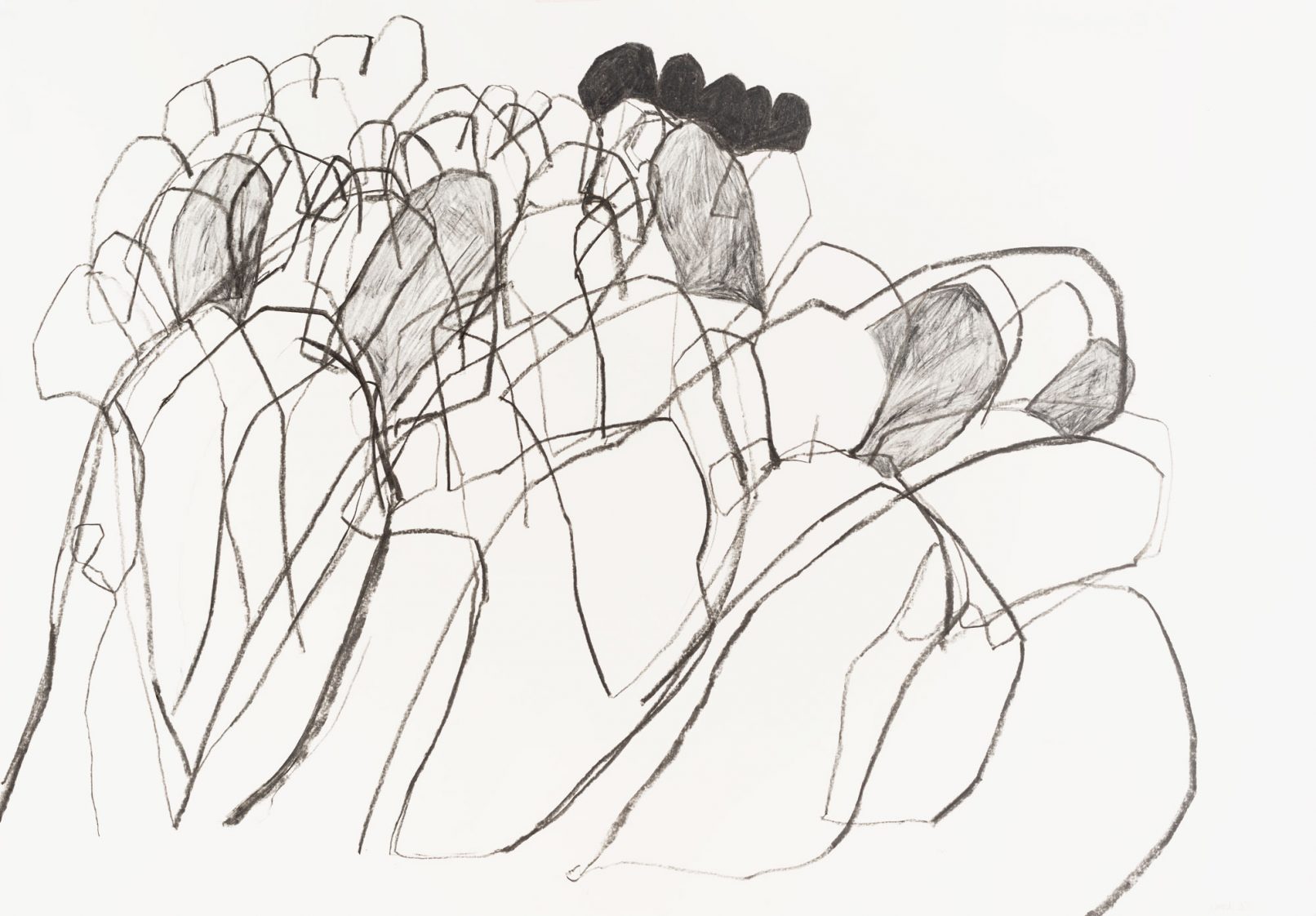 beinwell n°5 (unkraut deluxe)