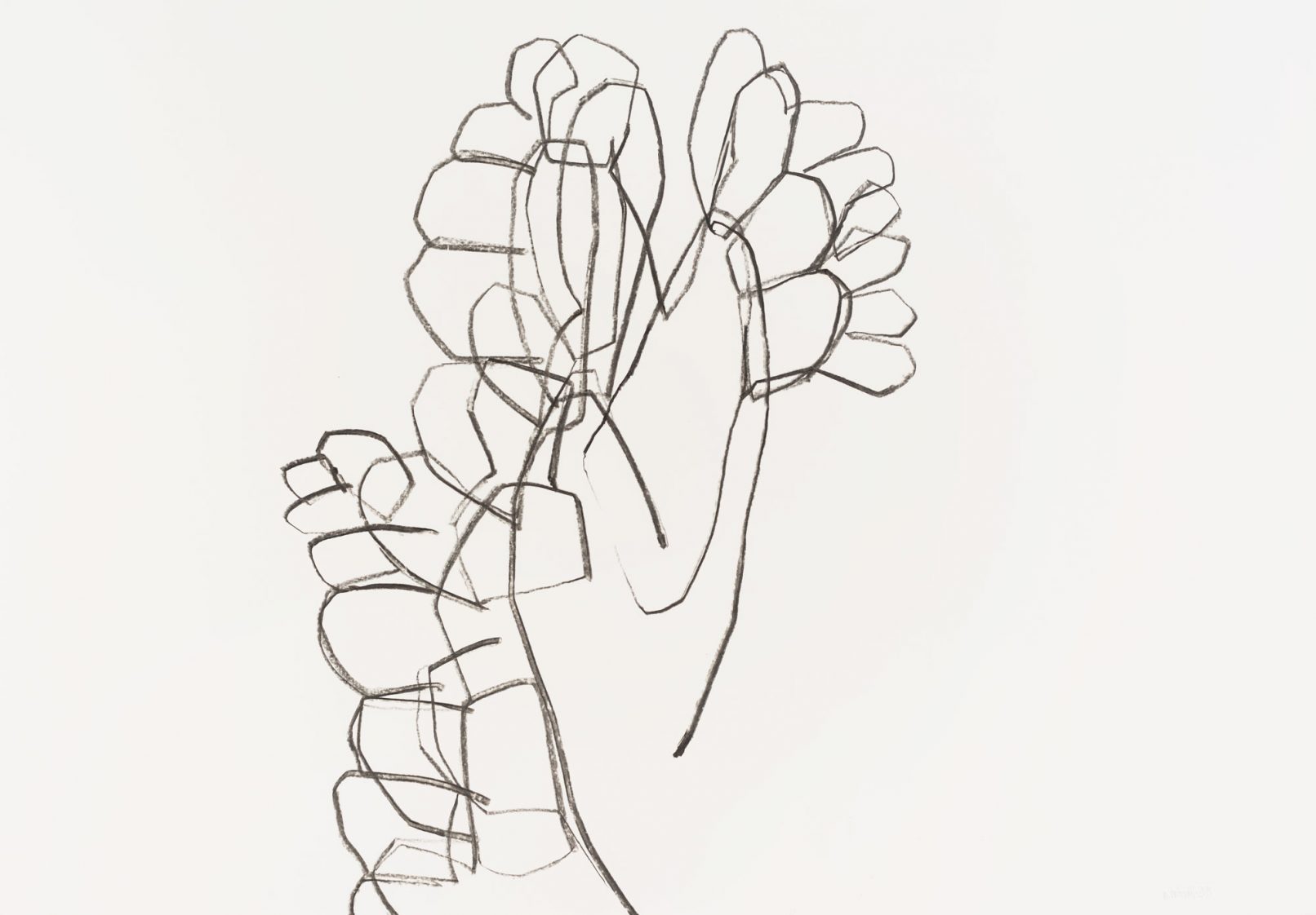 beinwell n°2 (unkraut deluxe)