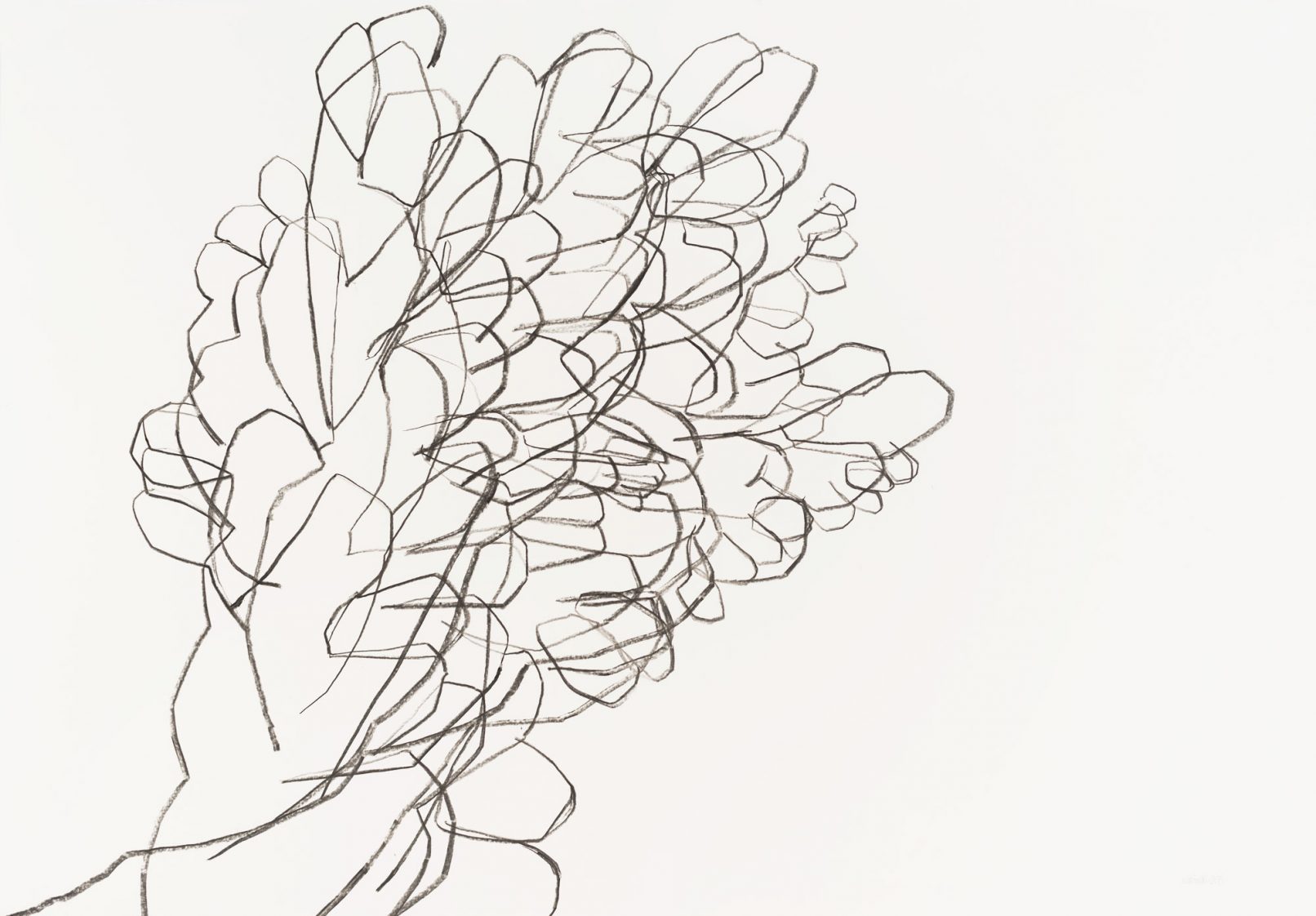 beinwell n°3 (unkraut deluxe)