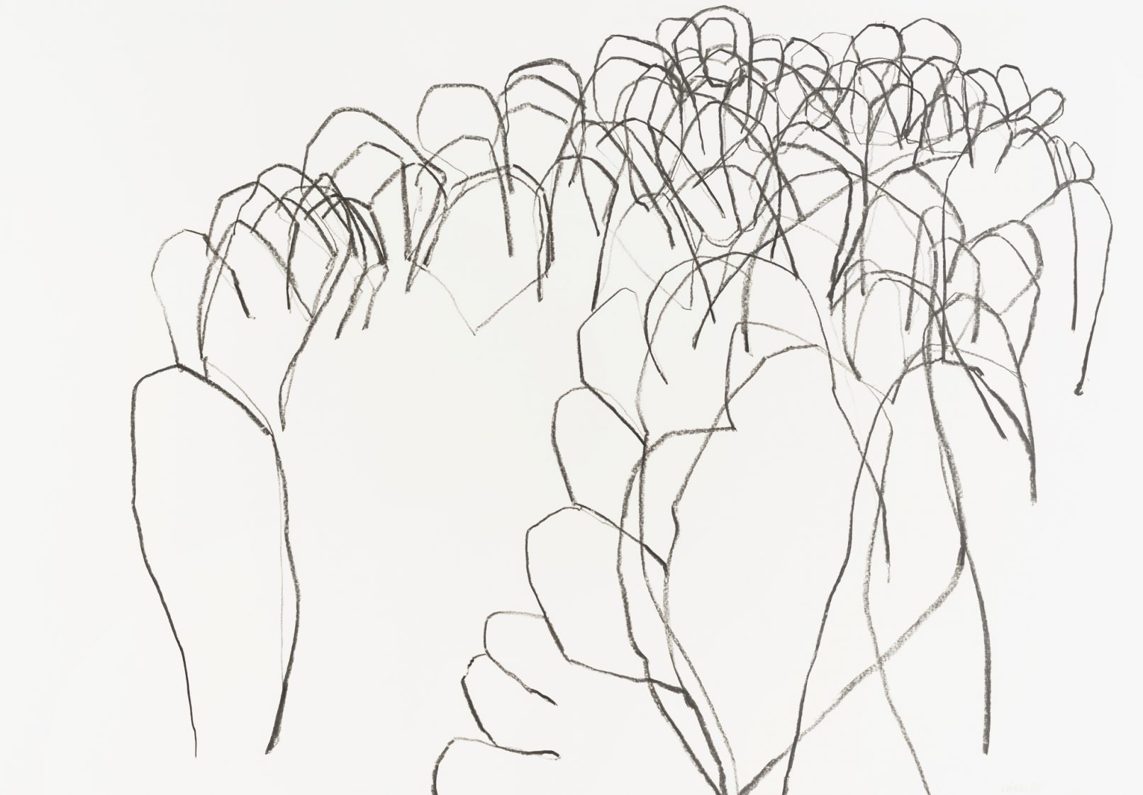 beinwell n°4 (unkraut deluxe)