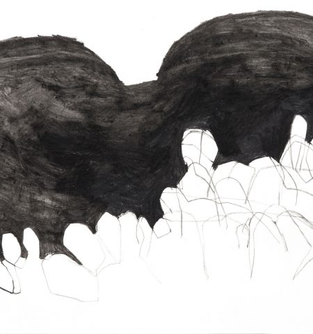 beinwell n°6 (unkraut deluxe)