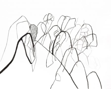 beinwell n°8 (unkraut deluxe)