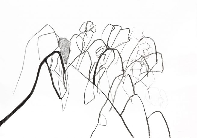 beinwell n°8 (unkraut deluxe)