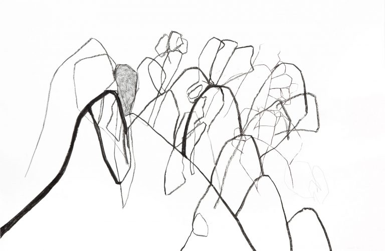 beinwell n°8 (unkraut deluxe)