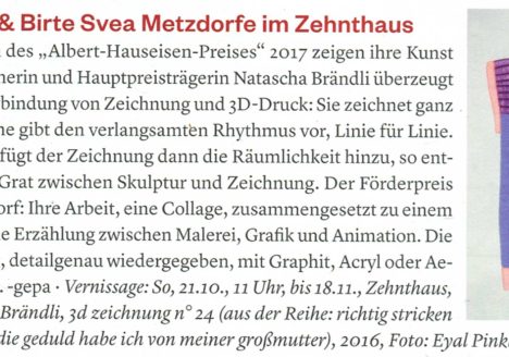 Albert-Haueisen-Preis 2017