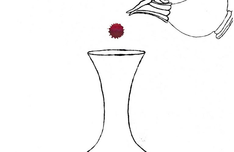 wein?yes! dekantieren *