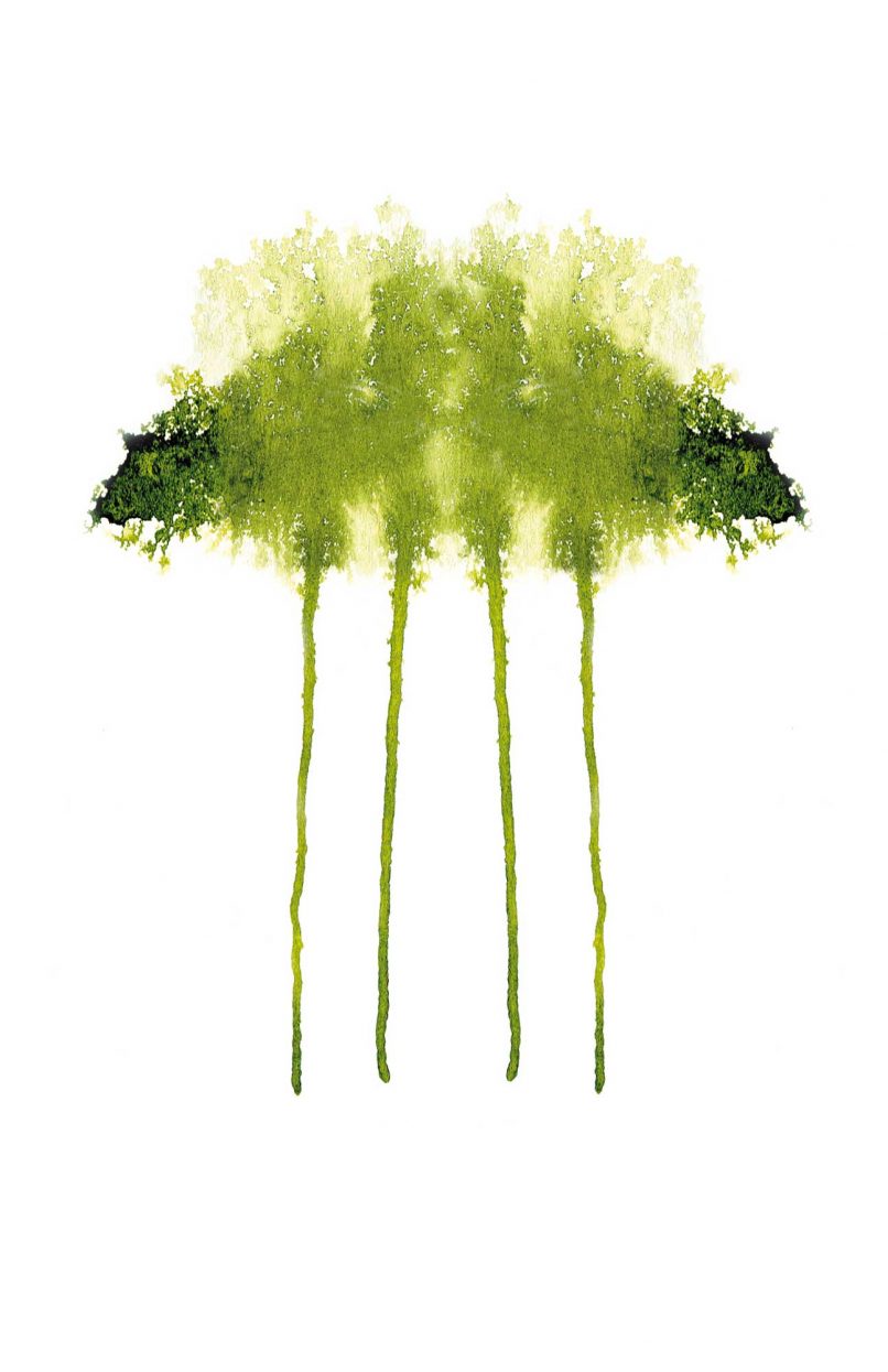5c_gruenebaeume_illu