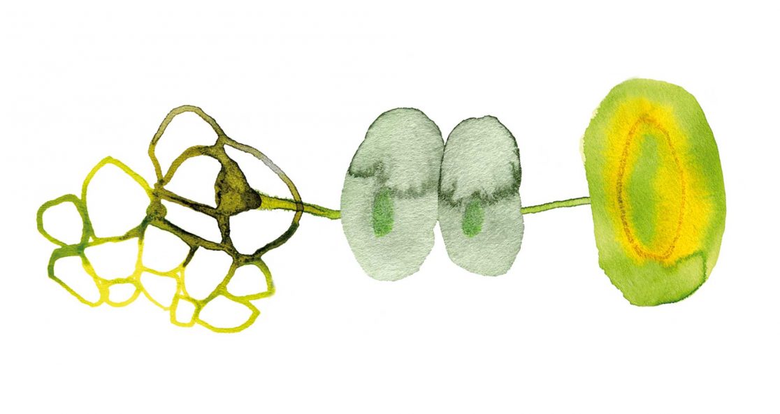 5f_klugheit-versus-instinkt_illu