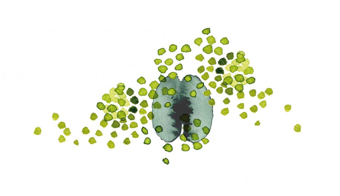 5g_erster-pflichtteil_illu