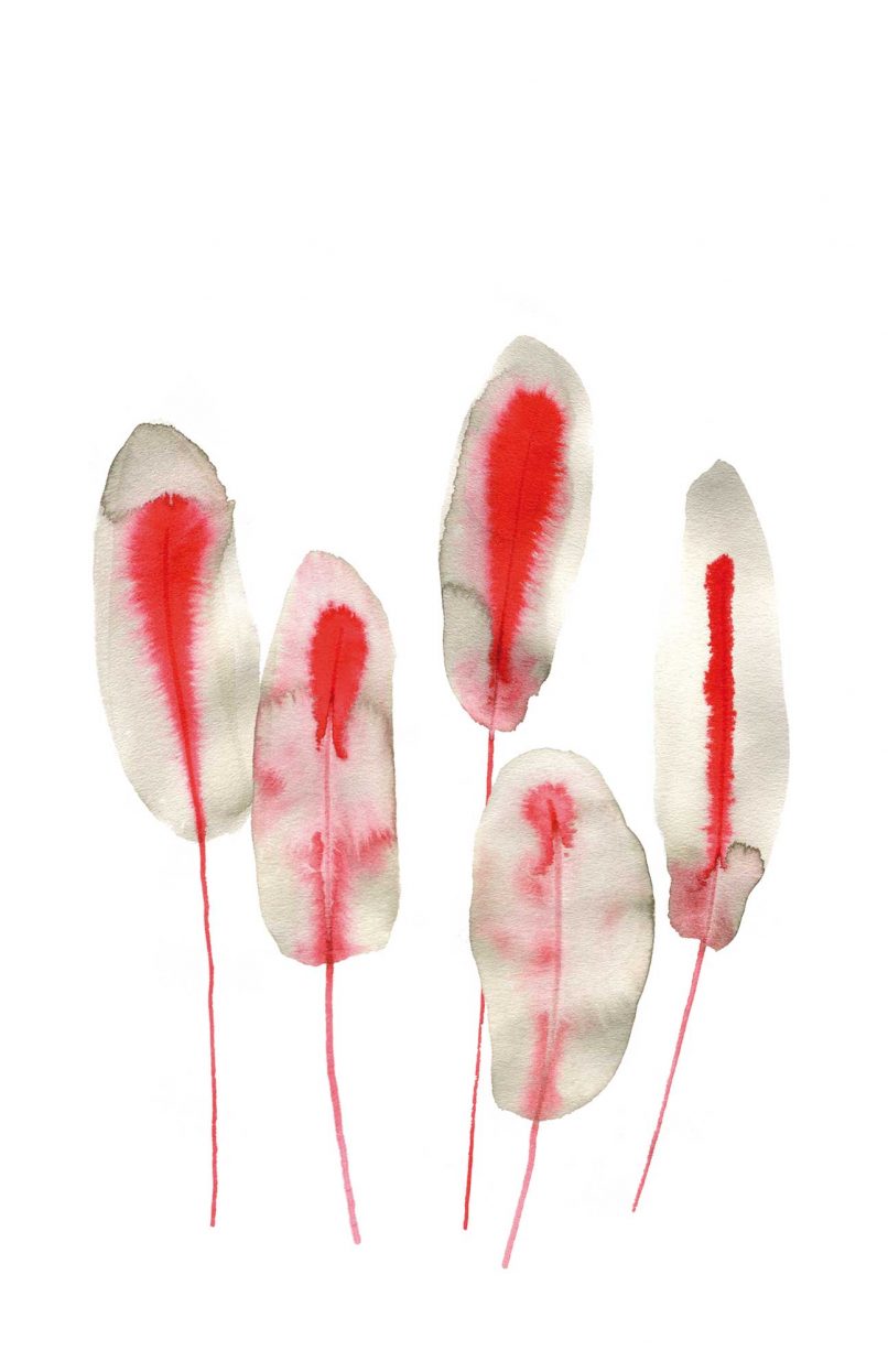 5h_erkennen-und-verstehen_illu