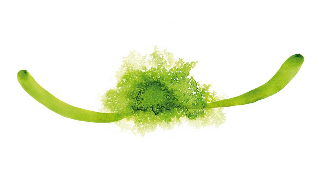 5o_dritter-pflichtteil_illu