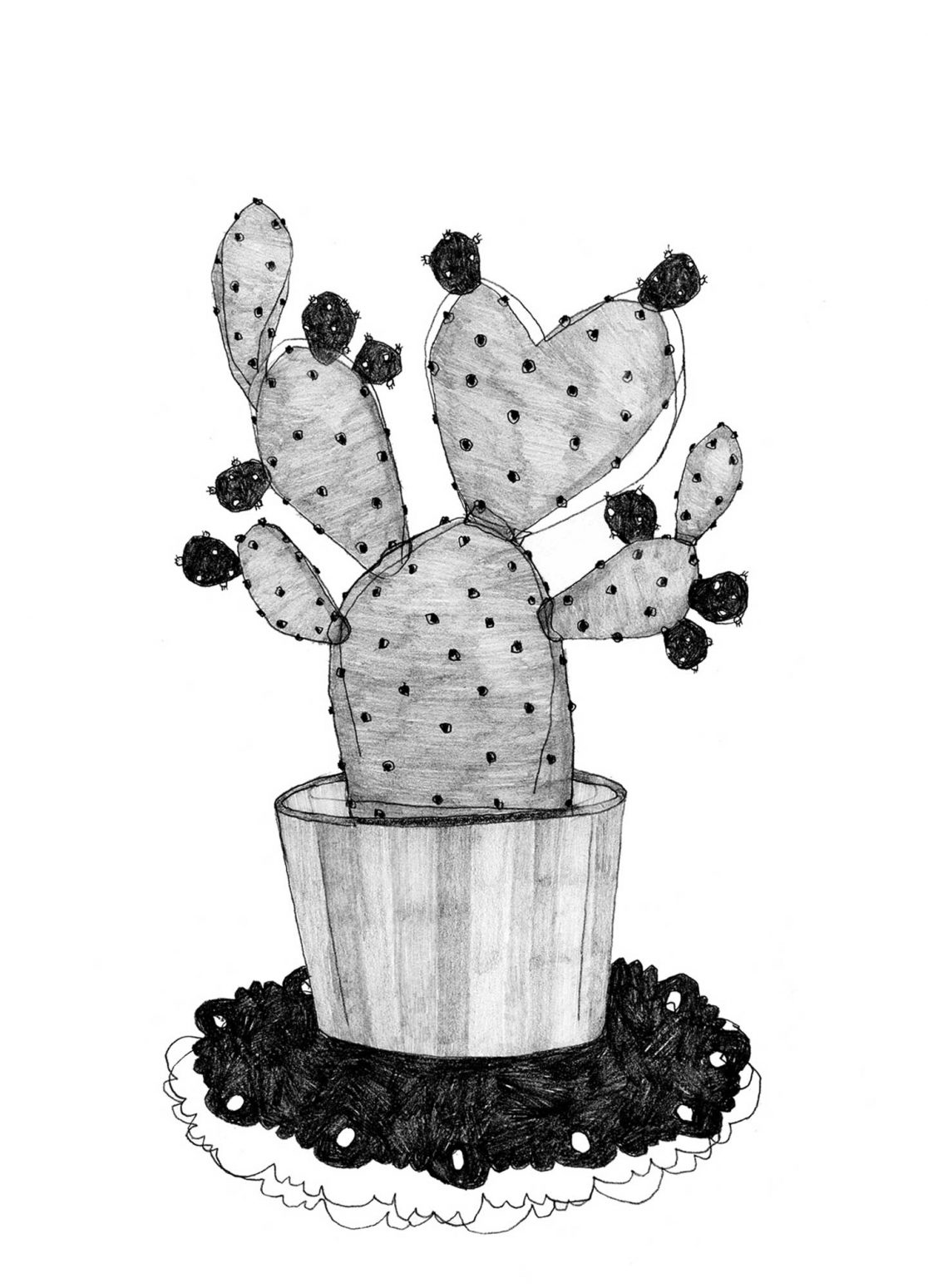 6a_kaktus1