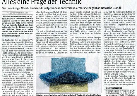 Meine 3D Zeichnung, die mich zur Preisträgerin vom Albert-Haueisen-Kunstpreis gemacht hat.